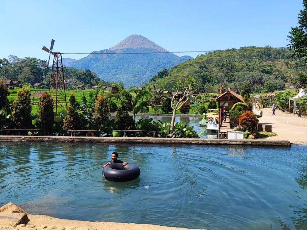 Instagram.com/evi_tulipia