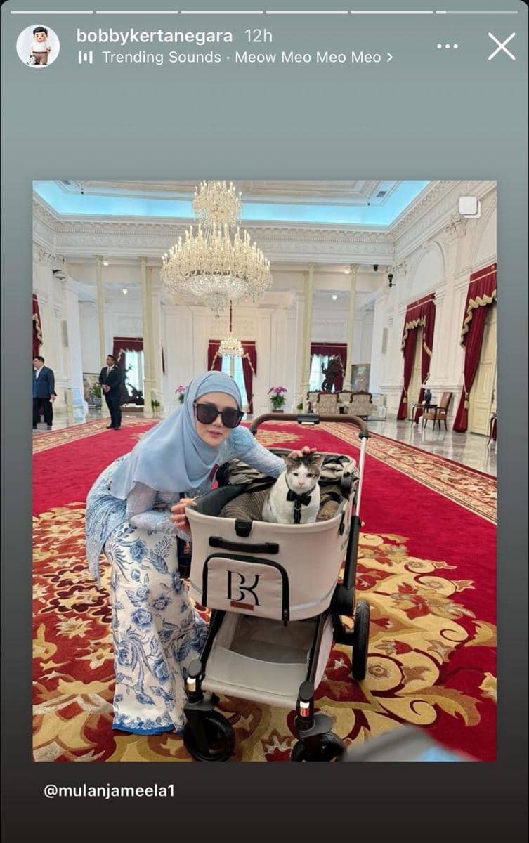 instagram.com/BobbyKertanegara