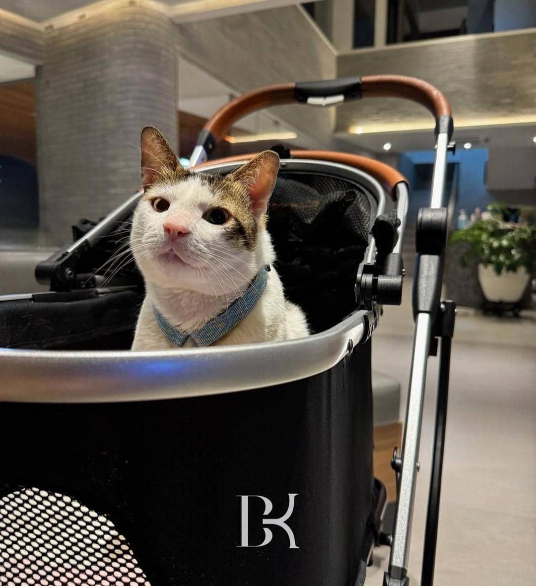 instagram.com/BobbyKertanegara