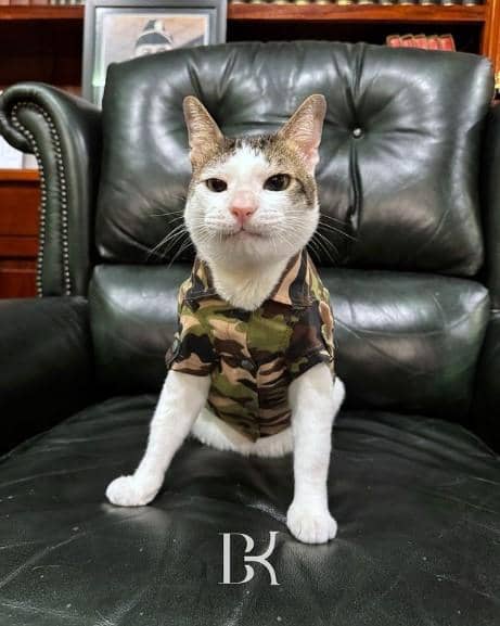 instagram.com/BobbyKertanegara