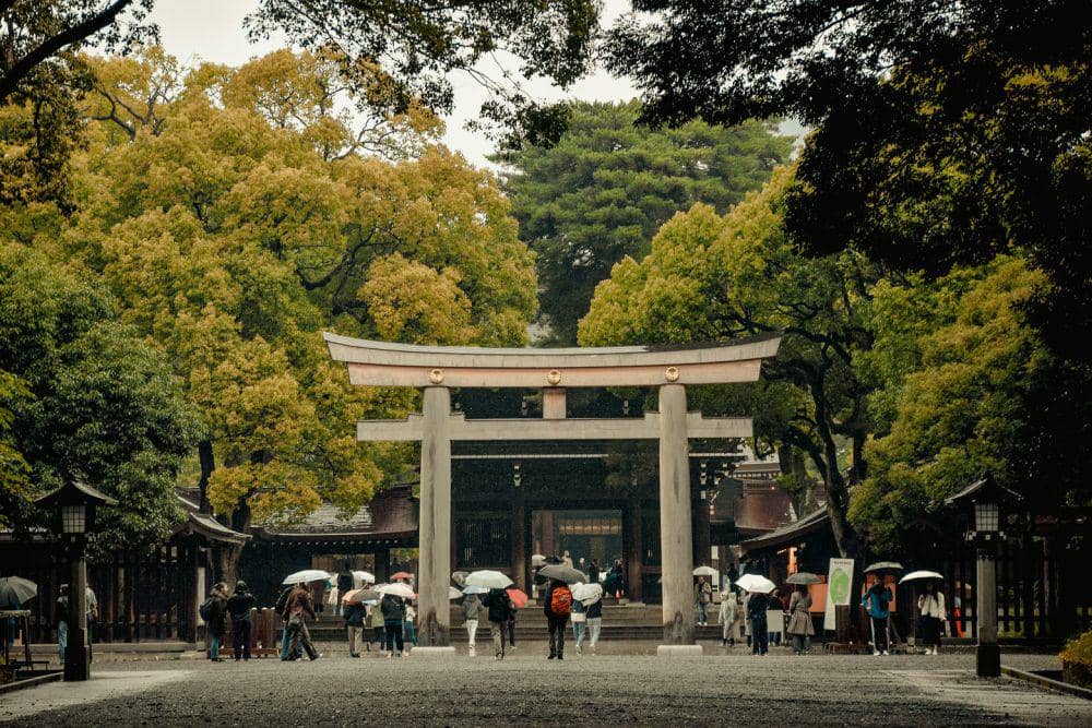 7 Tempat Wisata Gratis di Jepang dengan Pemandangan Alam Memukau