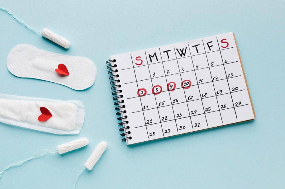 ilustrasi siklus menstruasi