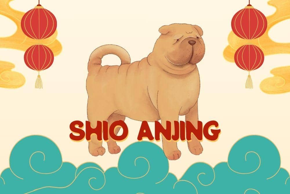 Canva.com/Andhina Effendi