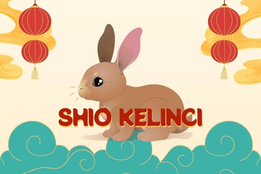 Canva.com/Andhina Effendi