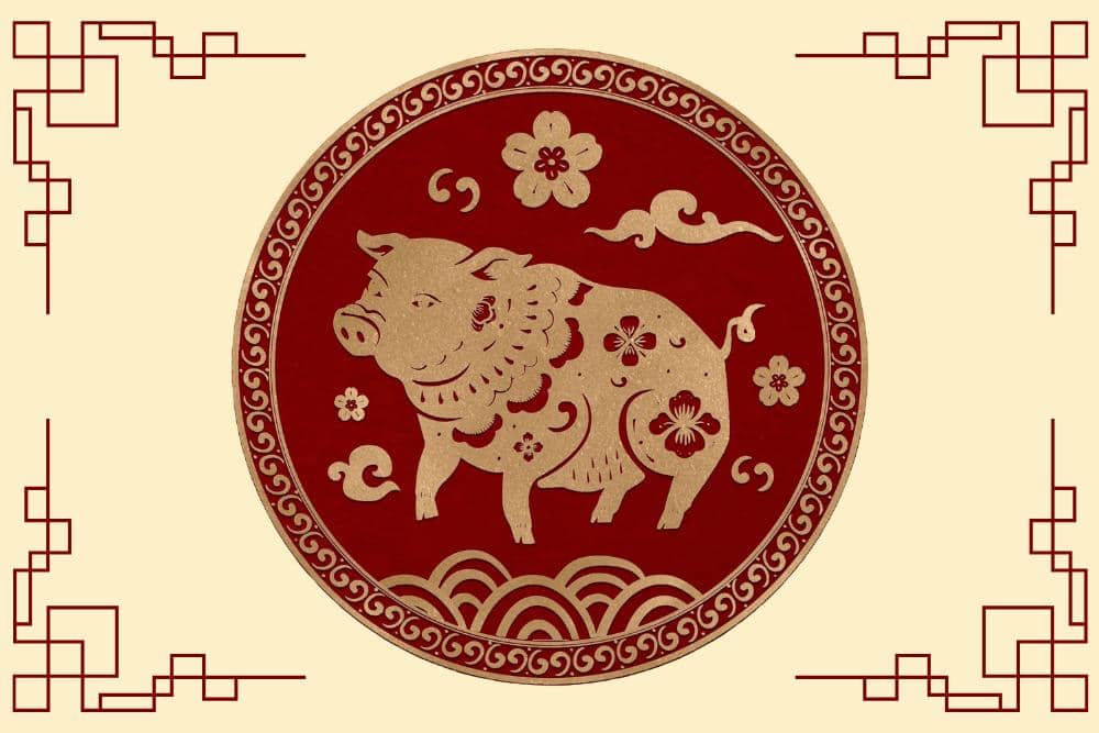 Freepik.com/rawpixel.com