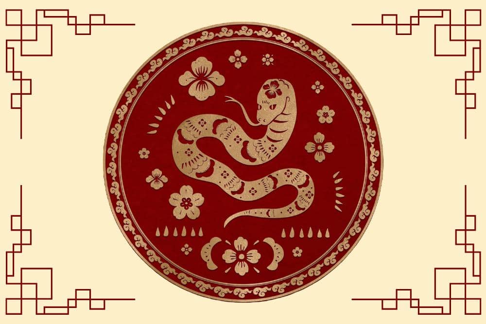 Freepik.com/rawpixel.com