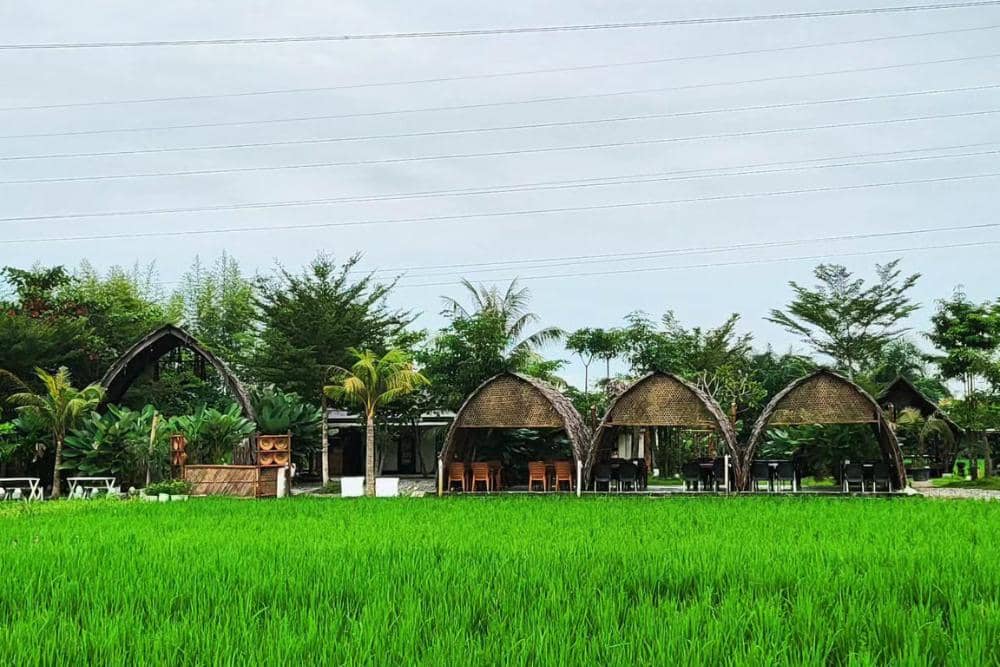 instagram.com/sawahlukis