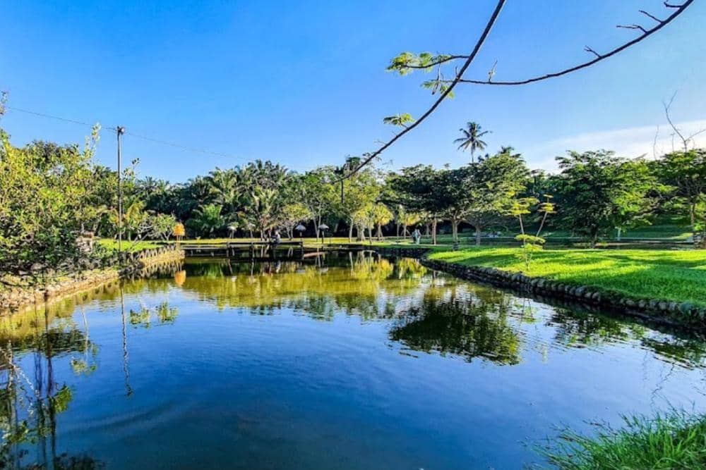 google.com/maps/Profile Art