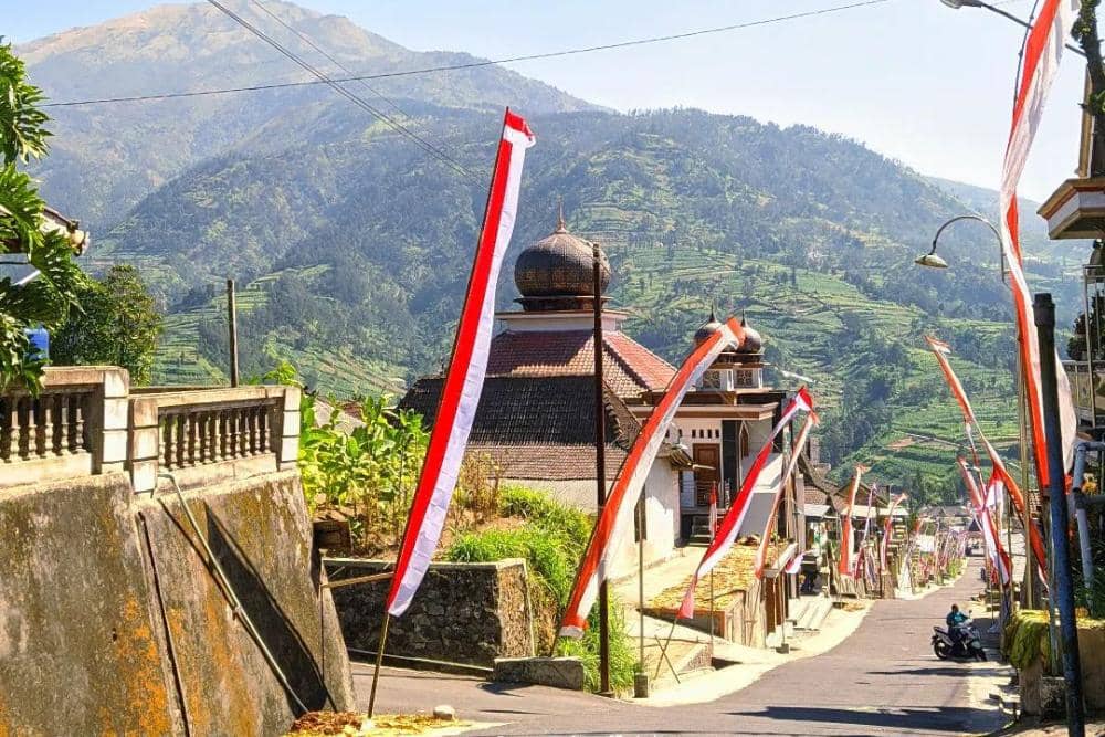 instagram.com/newselo.official