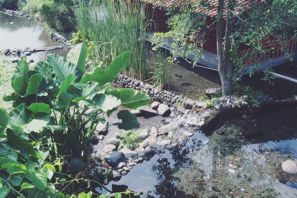 instagram.com/umbultlatar