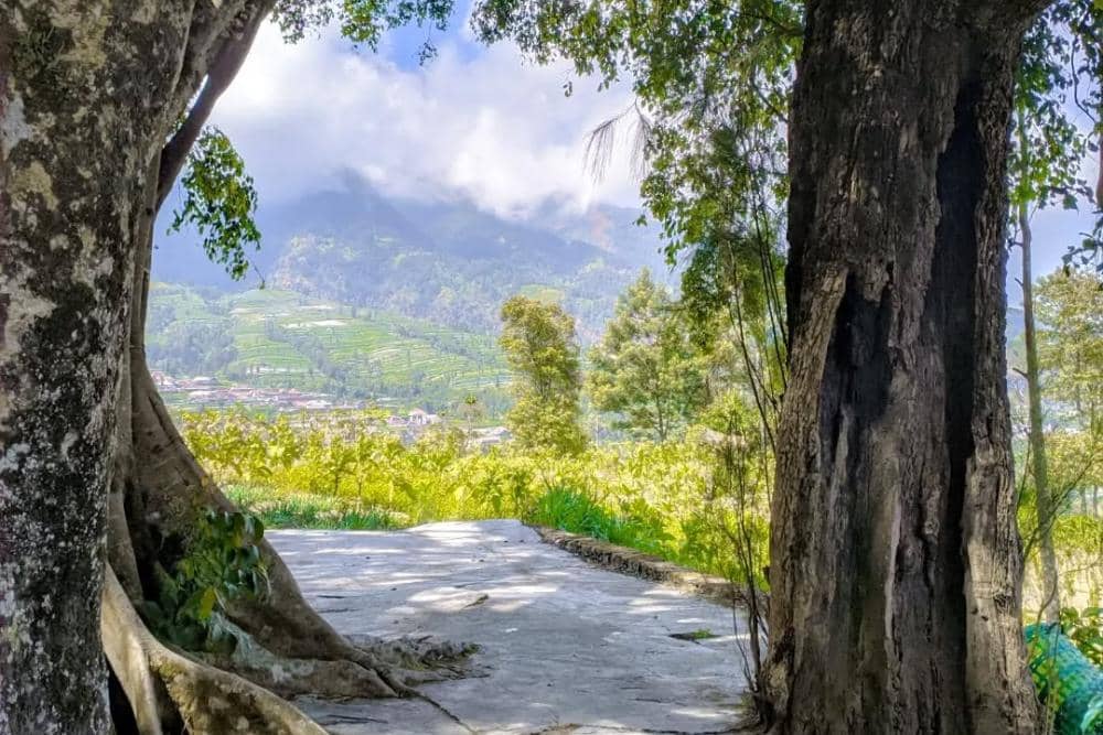 instagram.com/sar.wan