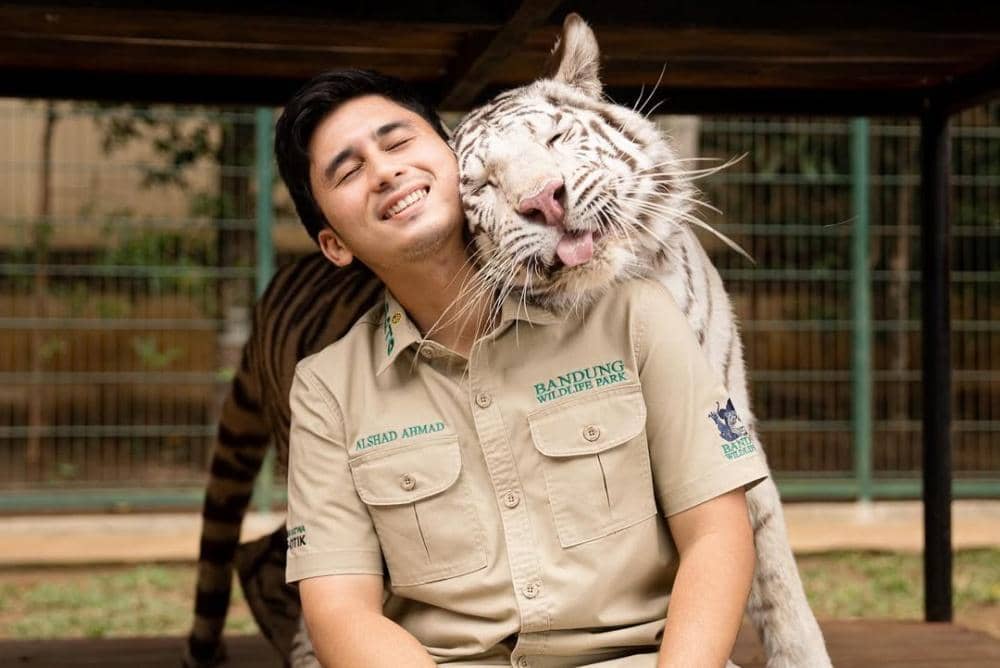 Instagram.com/alshadahmad