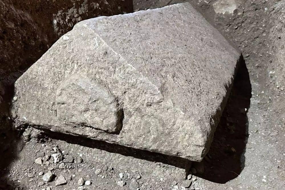 ladbible.com via Getty Images/Zehra Tekeci; Anadolu