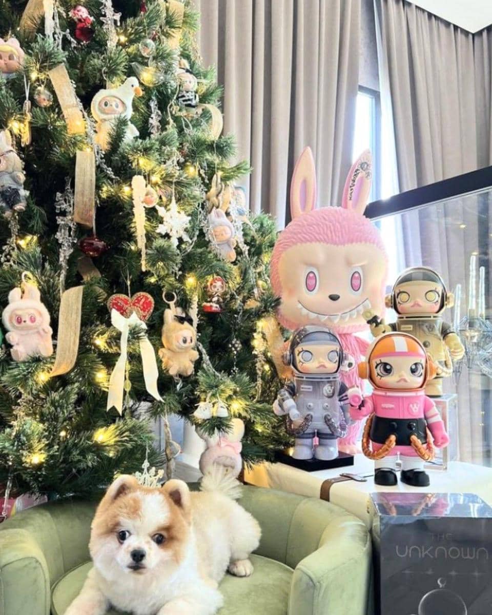 Instagram/chitthipbruschweiler