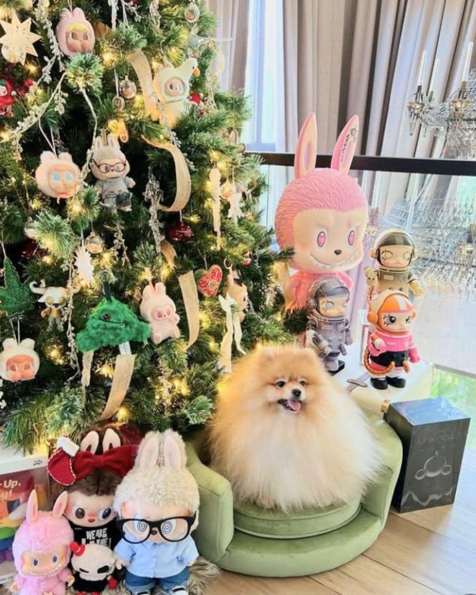 Instagram/chitthipbruschweiler