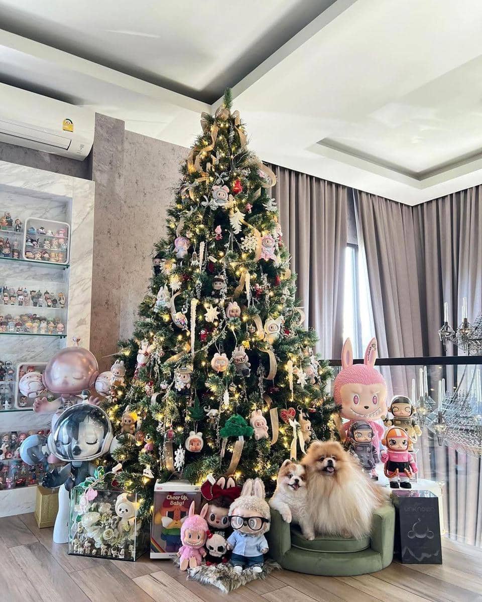 Instagram/chitthipbruschweiler