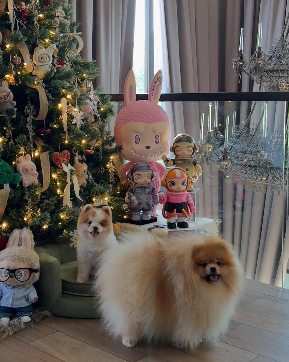 Instagram/chitthipbruschweiler