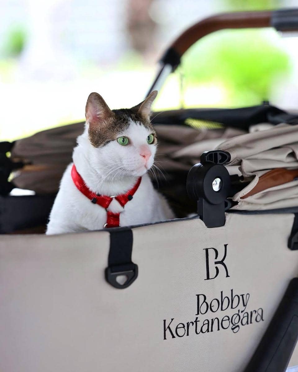 Instagram.com/BobbyKertanegara