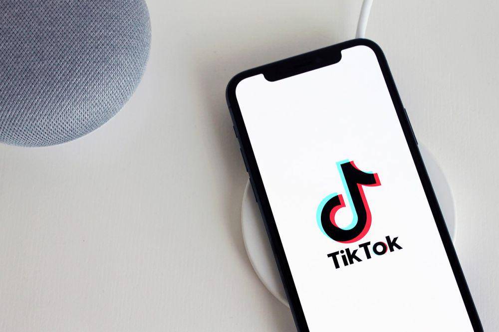 ilustrasi TikTok (pixabay.com/antonbe)