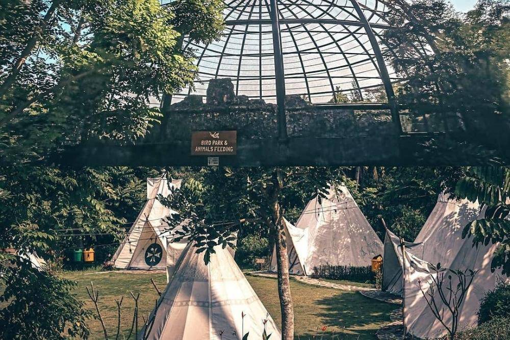 instagram.com/sparksforestadventure