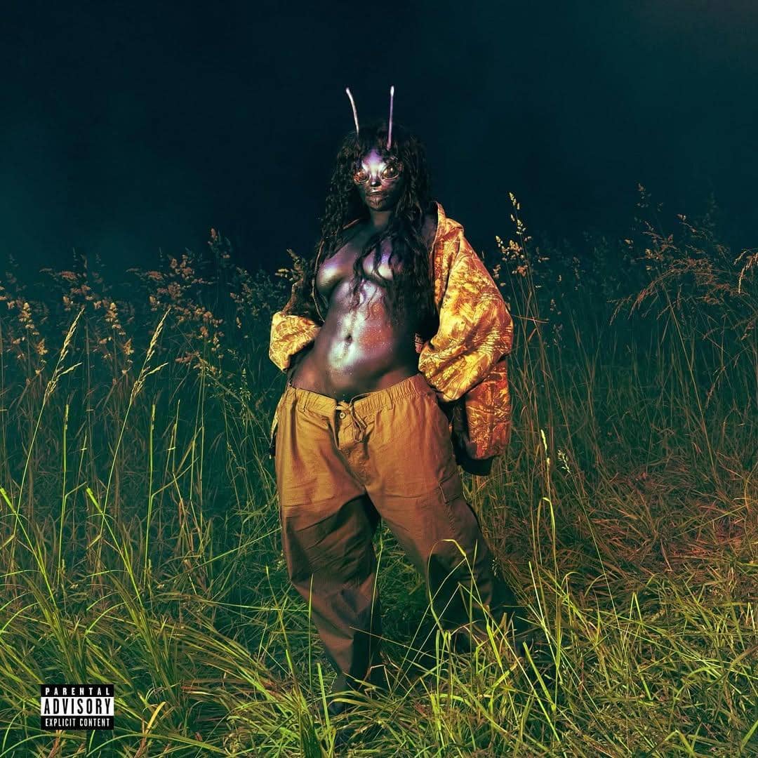 Photo by Cassidy Meyers