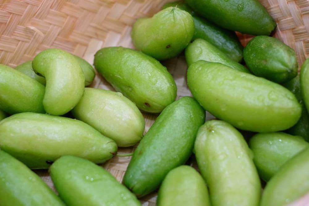 instagram.com/santhiserad_food