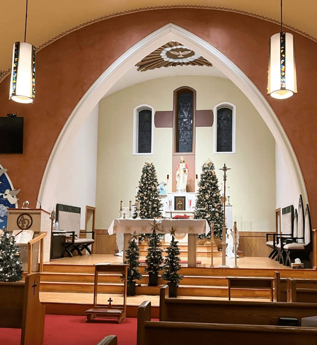 ignitechristmaslighting.com