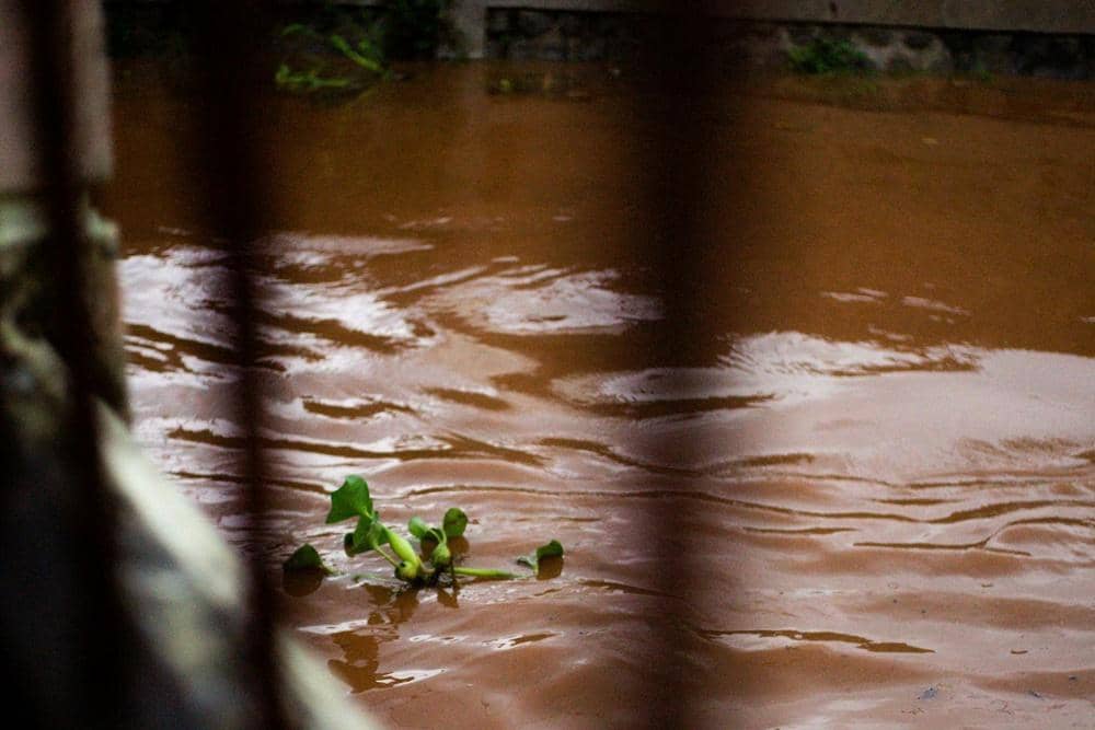 Unsplash.com/David Kristianto