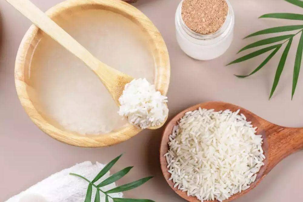 timesofindia.indiatimes.com