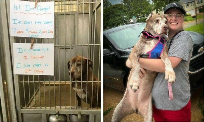 boredpanda.com/ Bill Nomicki Sr