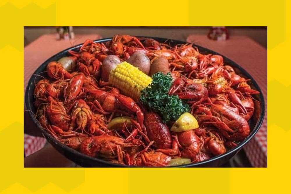 Instagram.com / dolanjajanofficial