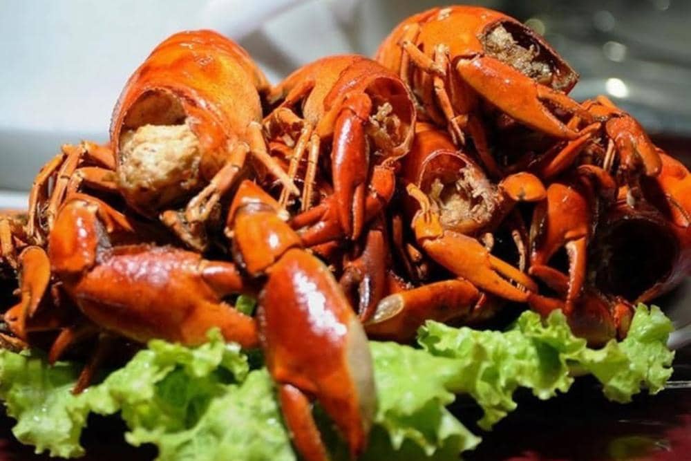 Instagram.com / timurnetwork