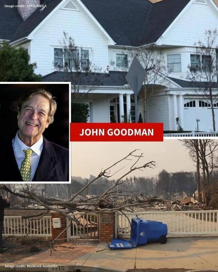 Dok. BackGird Australia