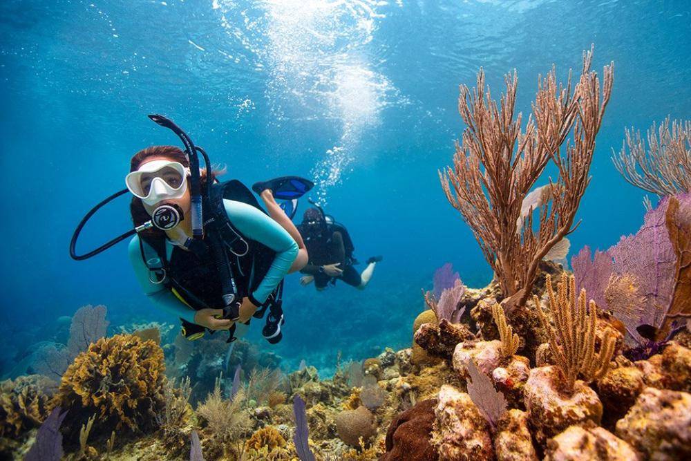 10 Diving Spot Terbaik di Indonesia, Jelajahi Keindahan Bawah Laut
