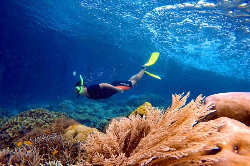 karimunjawadivecentre.com