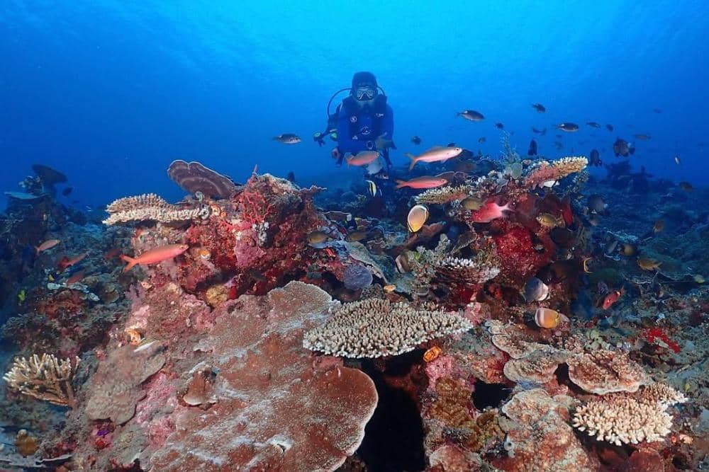 instagram.com/morgansudjaka