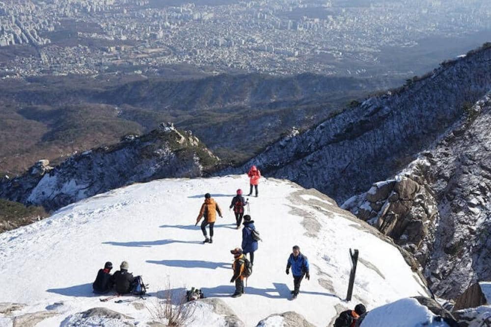 onetechtraveller.com