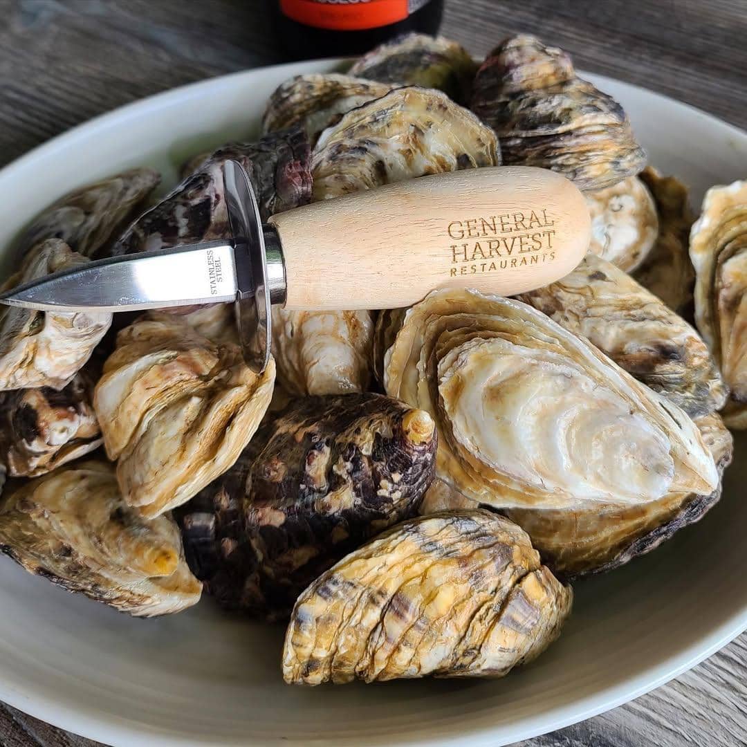 instagram.com/vendemmiaseattle