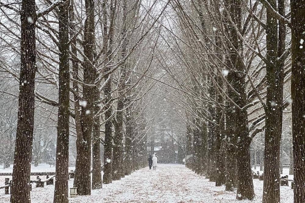 havehalalwilltravel.com