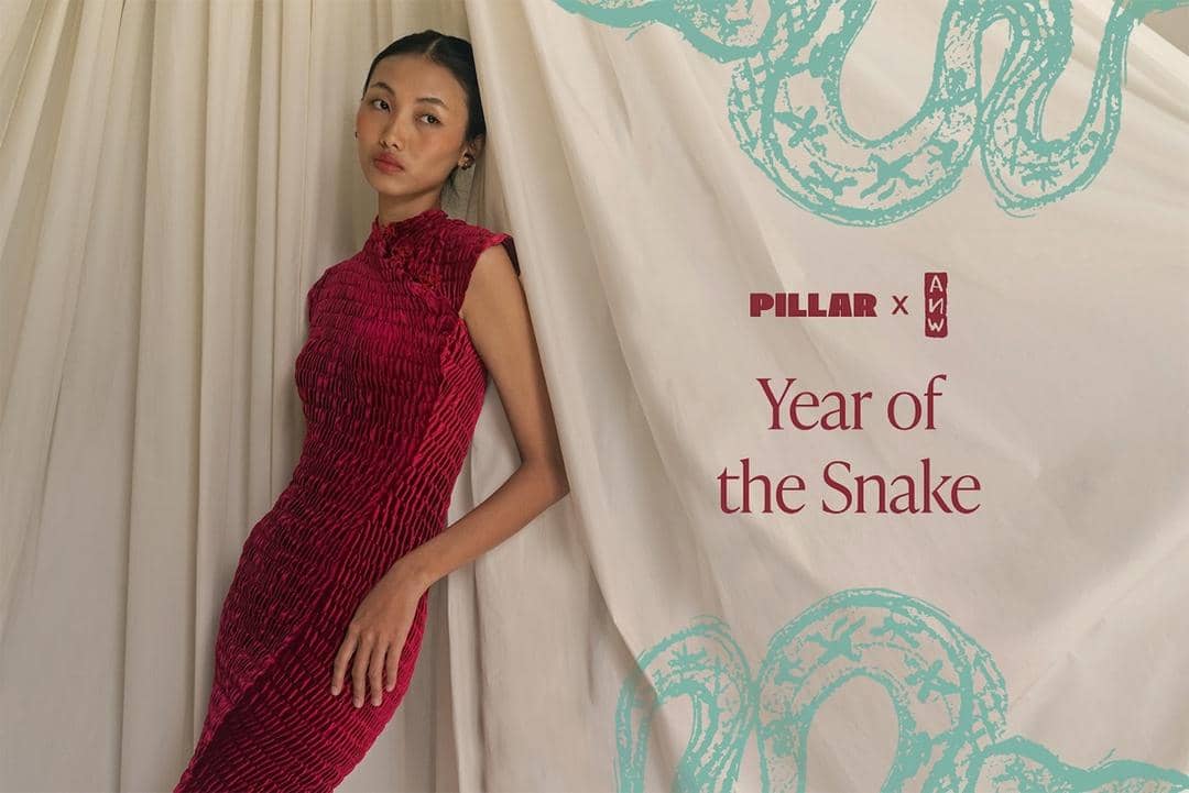 dok. ANW x PILLAR