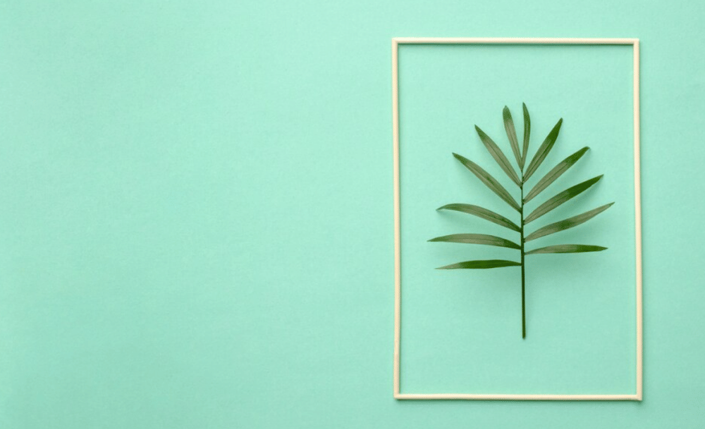 ilustrasi warna neo mint