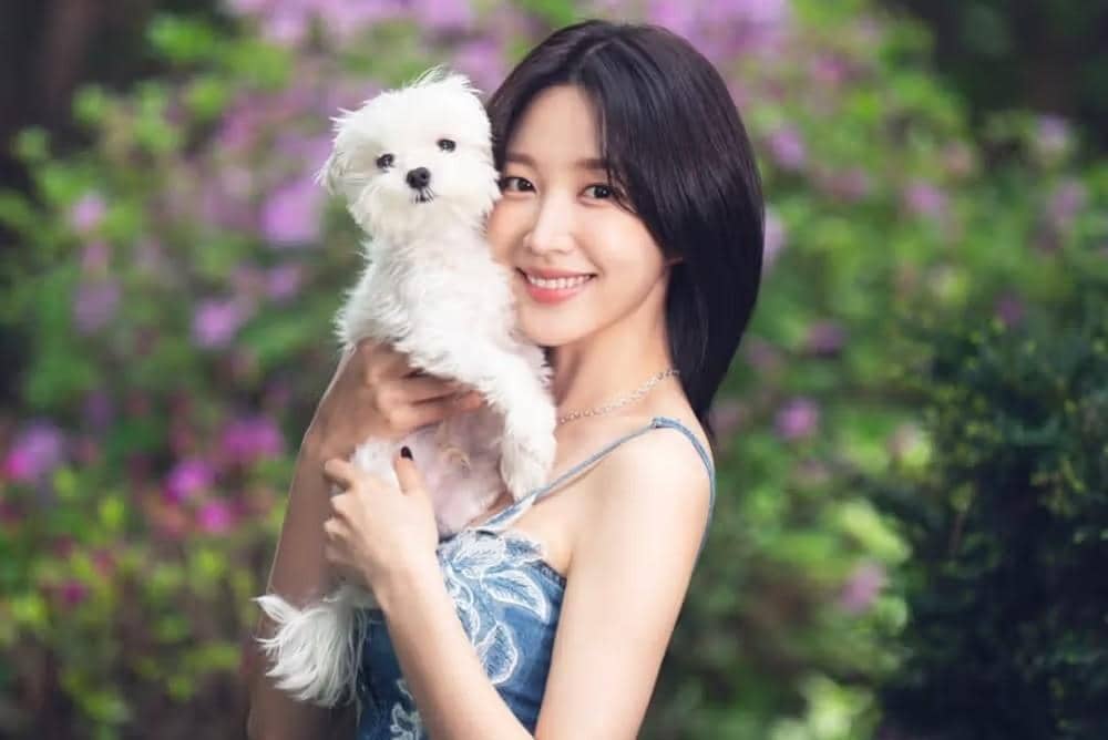 Instagram.com/ahnanihh