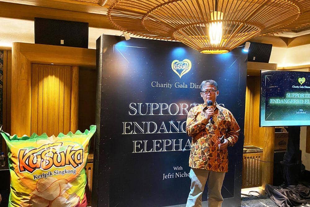 Jefri Nichol-Kusuka Chips Courtesy