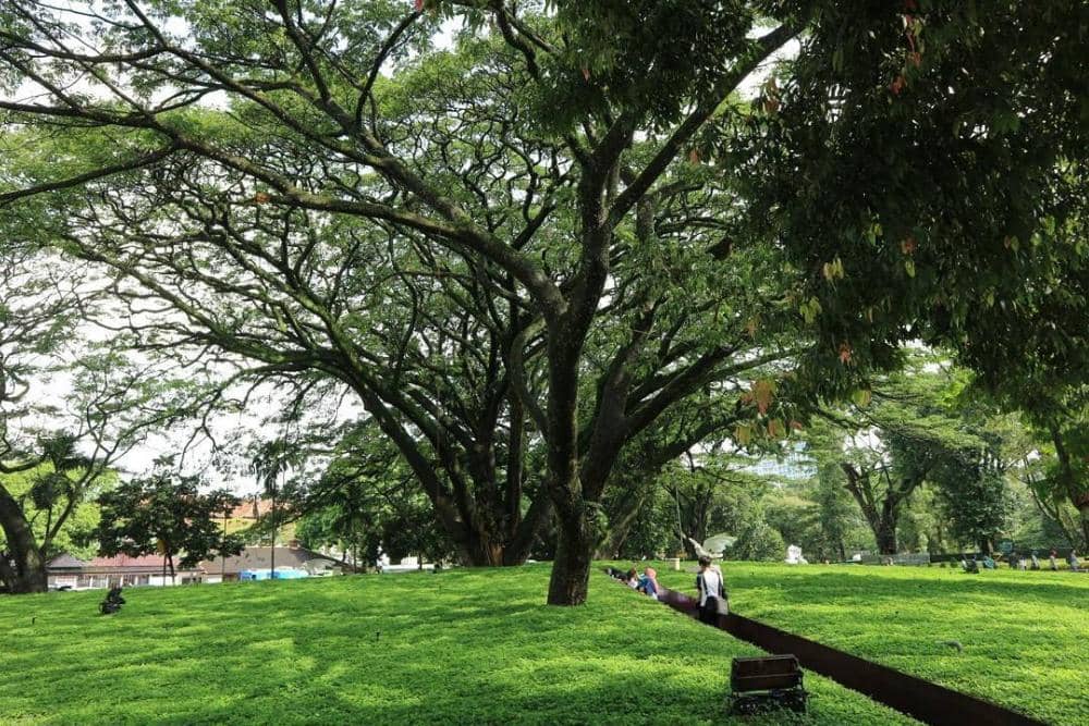 instagram.com/ariirfandy