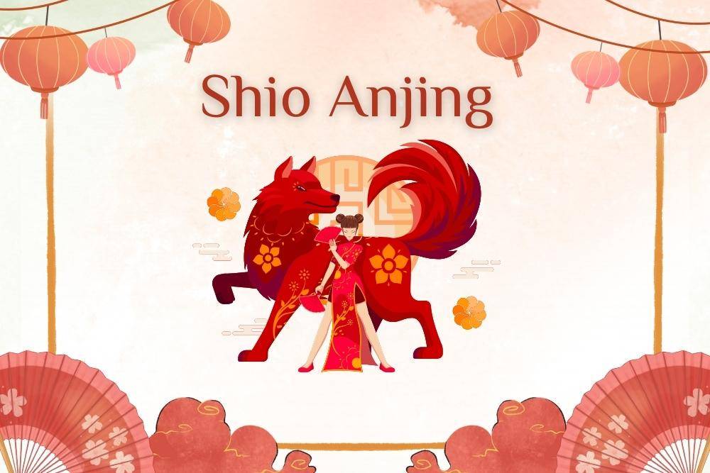 Sifat dan Karakter Shio Anjing, Teman yang Baik dan Setia