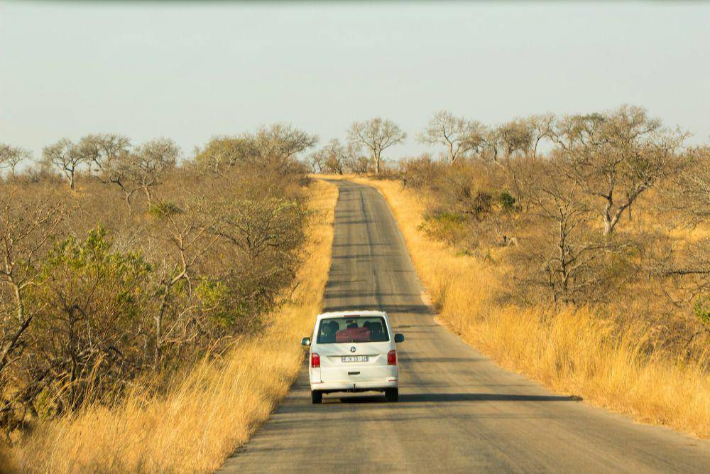 Great Limpopo Transfrontier Park (unsplash.com/David Tomaseti)
