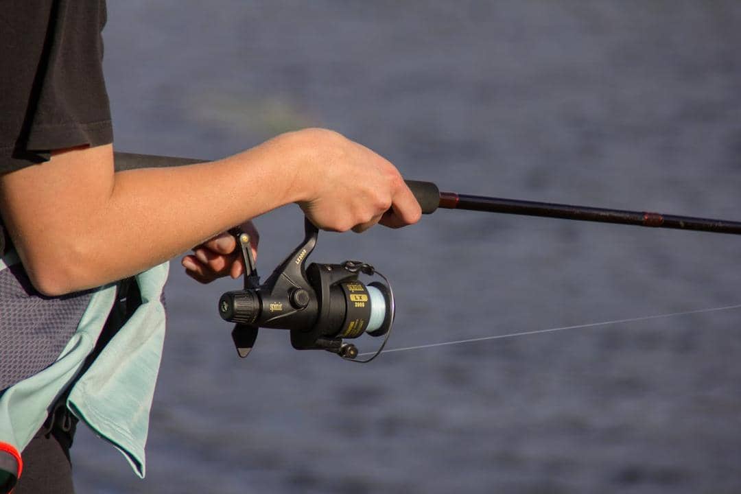 Pexels/Linny (Frosty)