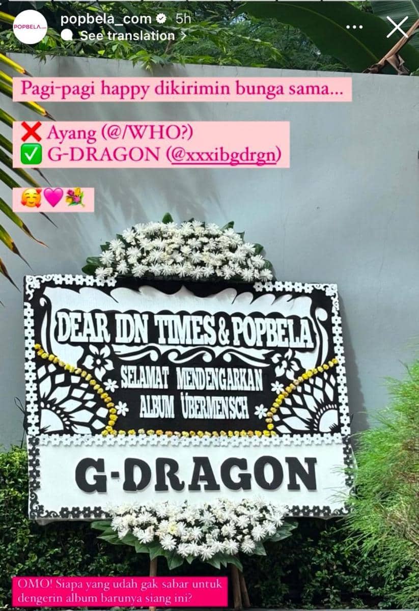 instagram.com/popbela_com