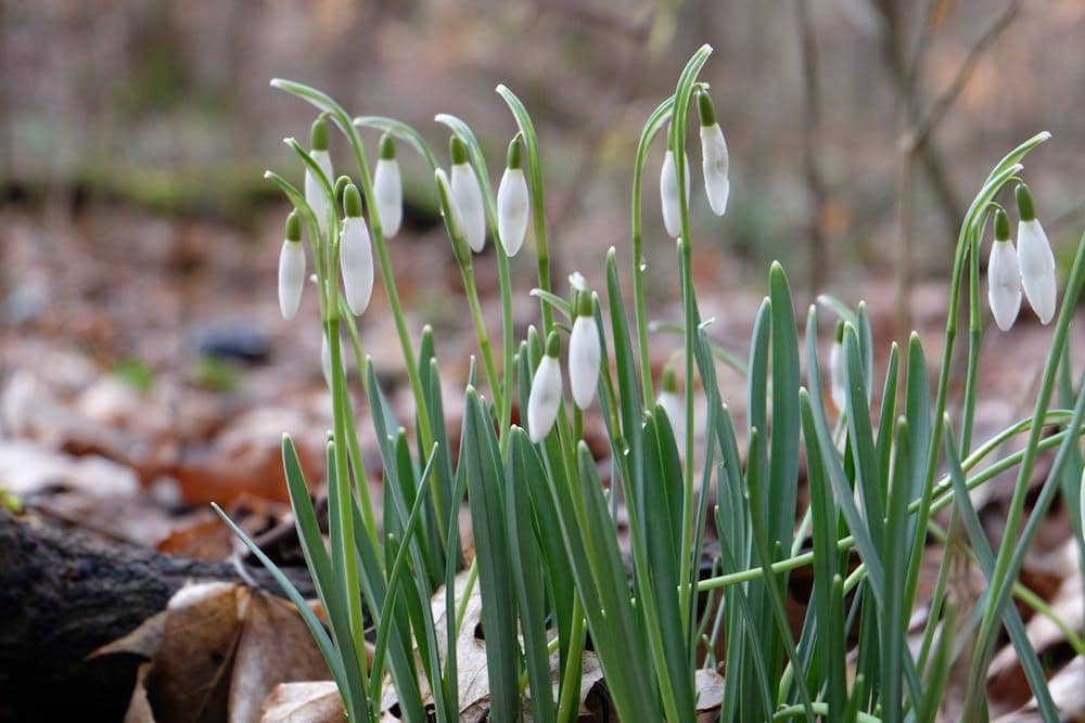 Pexels.com/Roman Biernacki