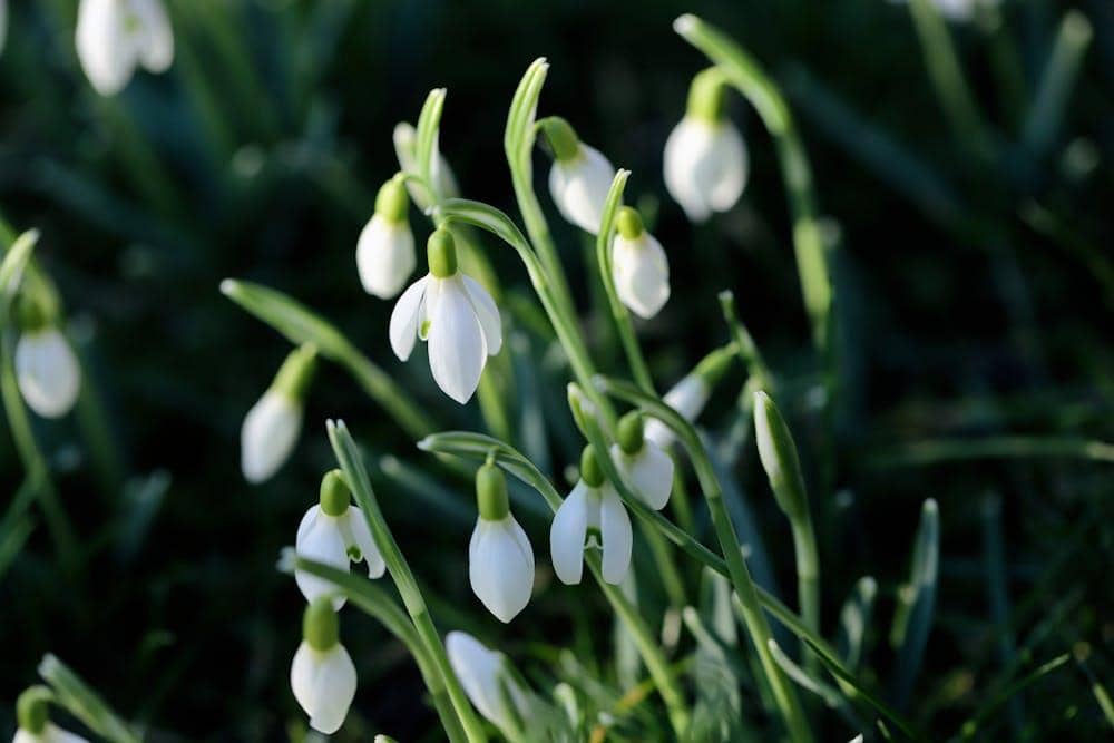 Pexels.com/Christina & Peter